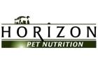 Horizon Logo