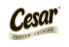 Cesar Logo