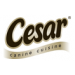 Cesar