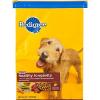 Pedigree Healthy Longevity Food for Dogs