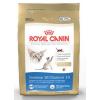 Royal Canin Feline Health Nutrition Siamese 38 Formula Dry Cat Food