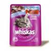 Whiskas Tender Bites Turkey And Giblets In Juices