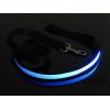 Black Leash w/Blue Stripe LED Lights