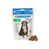 Nutramax Cosequin Softchew Plus Treats for Dogs