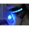 Pet Safety LED Light