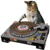 SuckUK Cat DJ Scratching Deck