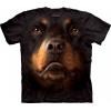 The Mountain Rottweiler Face Tee Shirt