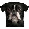 The Mountain Boston Terrier Tee Shirt