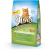 9 Lives Indoor Complete Dry Cat Food