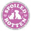 Spoiled Rotten Monthly Gift Box